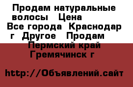 Продам натуральные волосы › Цена ­ 3 000 - Все города, Краснодар г. Другое » Продам   . Пермский край,Гремячинск г.